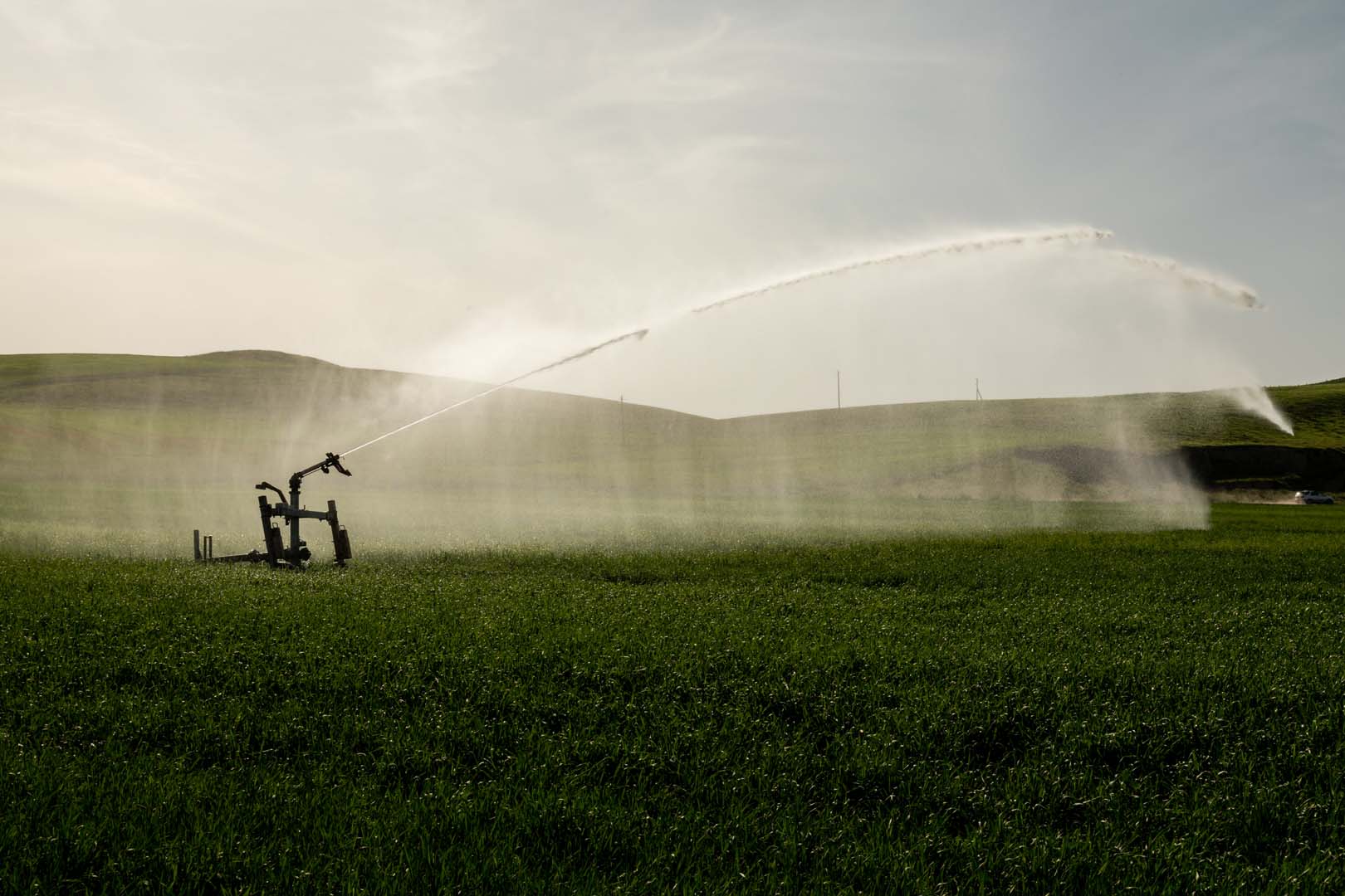 Guns Sprinkler Irrigation System Watering Wheat Field